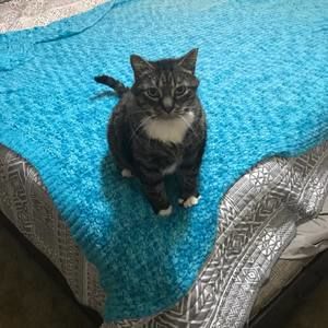 Meet your Posher, Jack